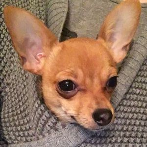 Meet your Posher, Stefanie